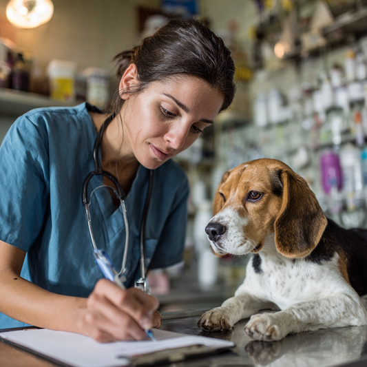Emerging Research: The Future of Glucose Monitoring in Veterinary Medicine