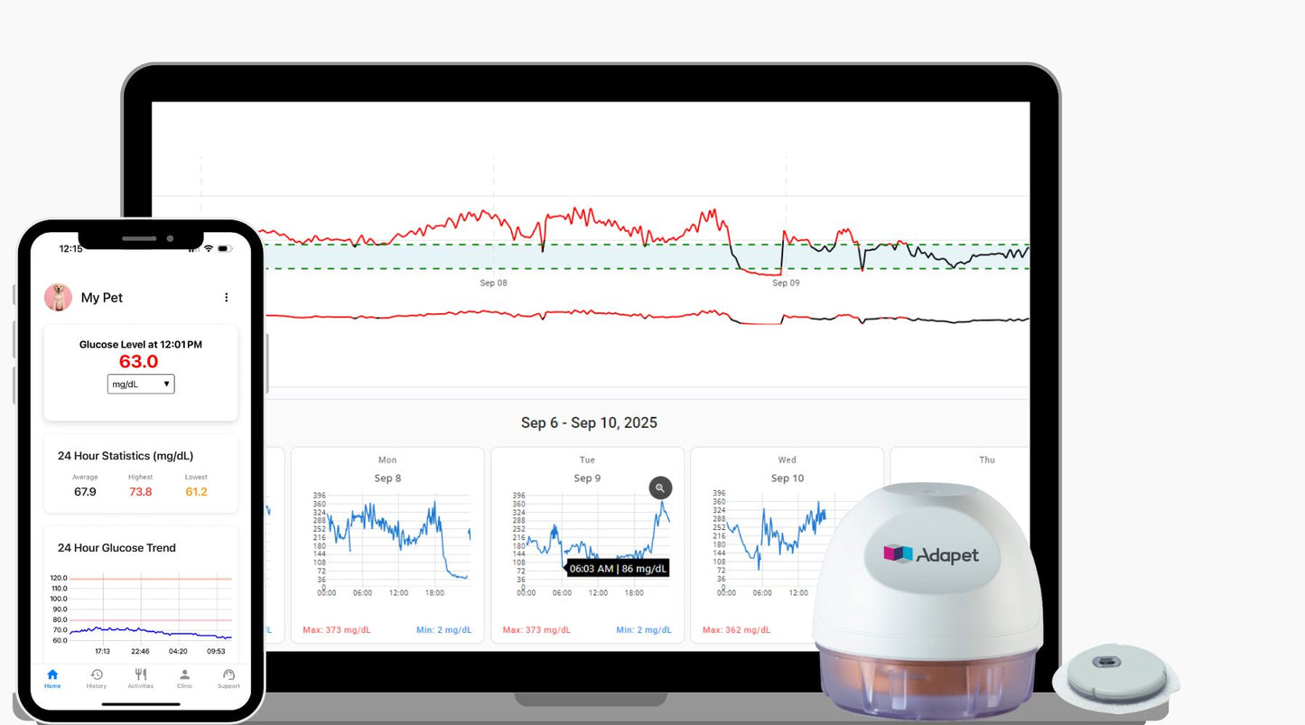 Adapet CGM A1 Patient Pack