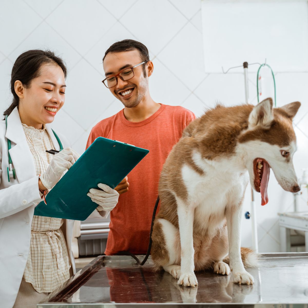 Adapet CGM A1