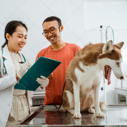 Adapet CGM A1