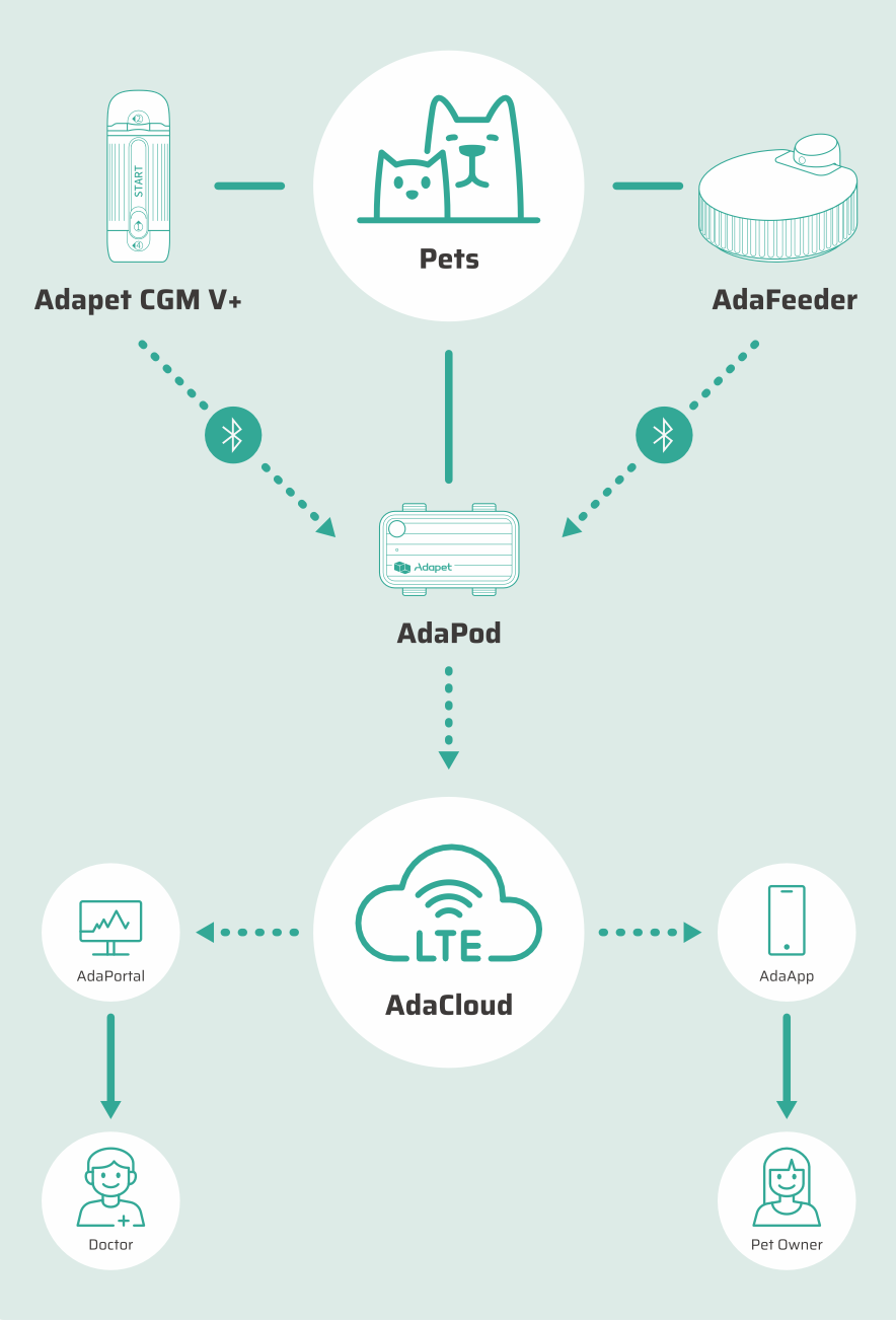 Adapet product ecosystem: CGM V+ and AdaFeeder connect via Bluetooth to AdaPod, which sends data through LTE to AdaCloud, delivering insights to AdaPortal for veterinarians and AdaApp for pet owners